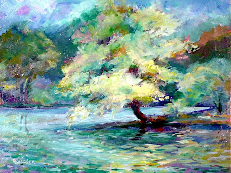Tree at Water's Edge. (4014 visits) This tree is on the shore of Lake Harriet in Minneapolis. Tree at Water's Edge.