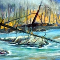 Forest Fire-Minnesota