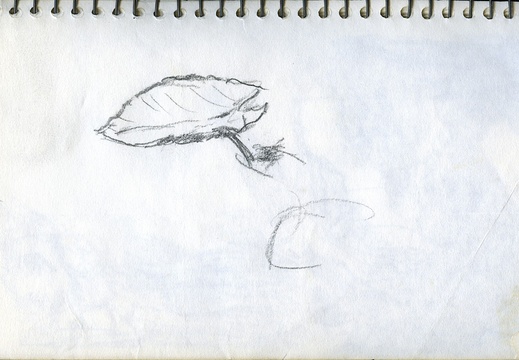 Sketch Book 08 054