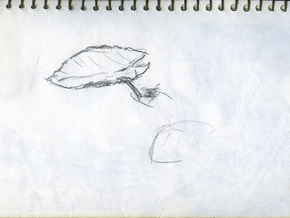 Sketch Book 08 054 (1621 visingar) Sketch Book 08 054 Sketch Book 08 054
