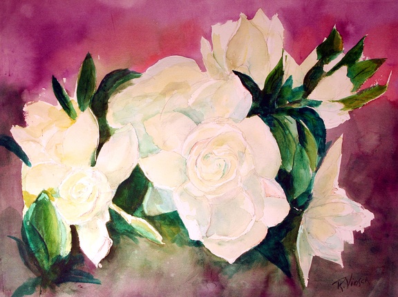 Gardenias (3590 visits) White gardenias. Gardenias