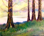 Cypresses on Pond -- Another from my cypress and pond slime phase.