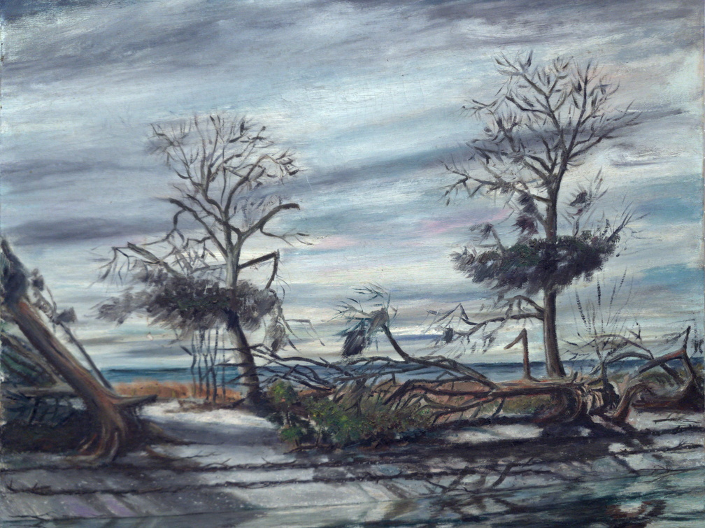 Hurricane Flossy Aftermath (SOLD) (2875 visits) This is probably the aftermath of Hurricane Flossy (Sept 1956) as hurricane Audrey was June 1957. Bo... Hurricane Flossy Aftermath (SOLD)