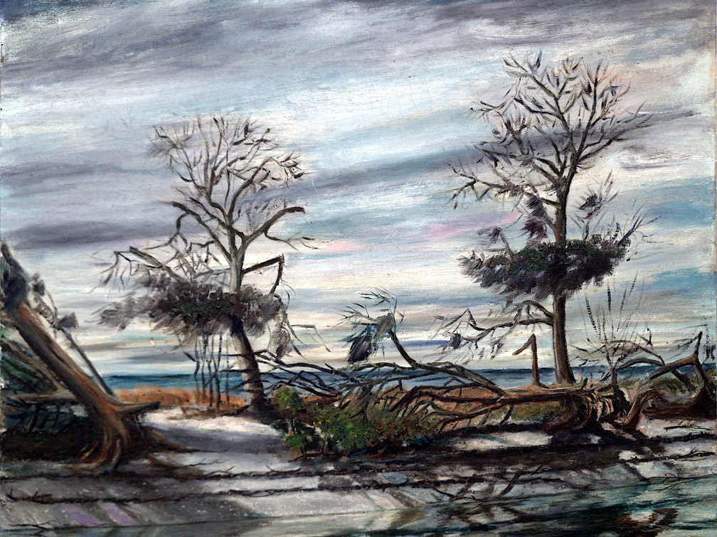 Hurricane Flossy Aftermath (SOLD Restored)