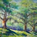 Oaks and Moss (4289 visits) Oaks and Moss. Sunlight streaming on the ground beneath the oaks with the moss suggesting a slight ... Oaks and Moss