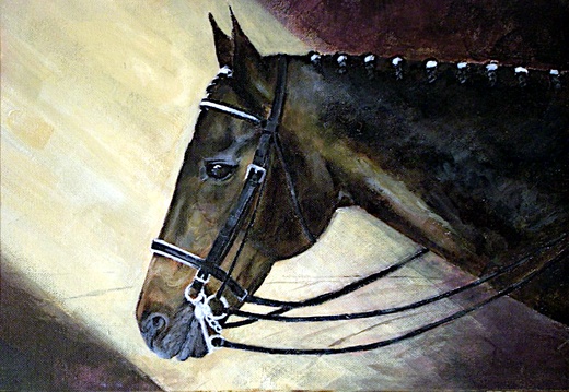 Art (3838 visits) A portrail of one of our horses named Little Big Hawk, better known as Art. I tried to use him as a ... Art