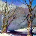 Winter Trees