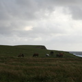 Cliffs at Kilkee Ireland (828 visits) Taken during Bob's trip to Ireland in August 2005 Cliffs at Kilkee Ireland