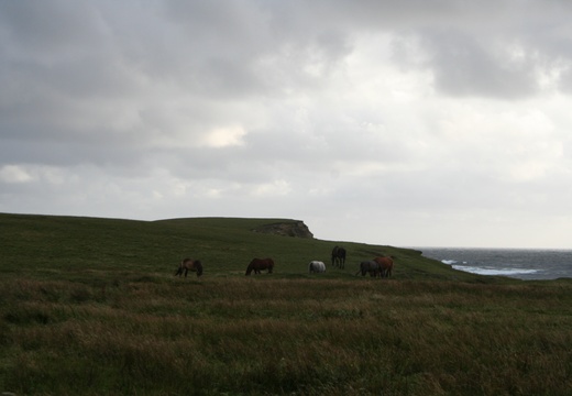 Cliffs at Kilkee Ireland (828 visits) Taken during Bob's trip to Ireland in August 2005 Cliffs at Kilkee Ireland