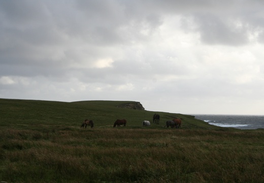 Cliffs at Kilkee Ireland