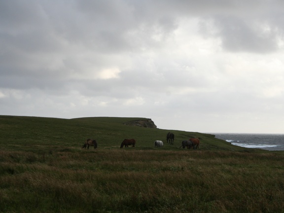 Cliffs at Kilkee Ireland