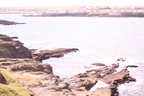 Cliffs at Kilkee Ireland -- Taken during Bob's trip to Ireland in August 2005