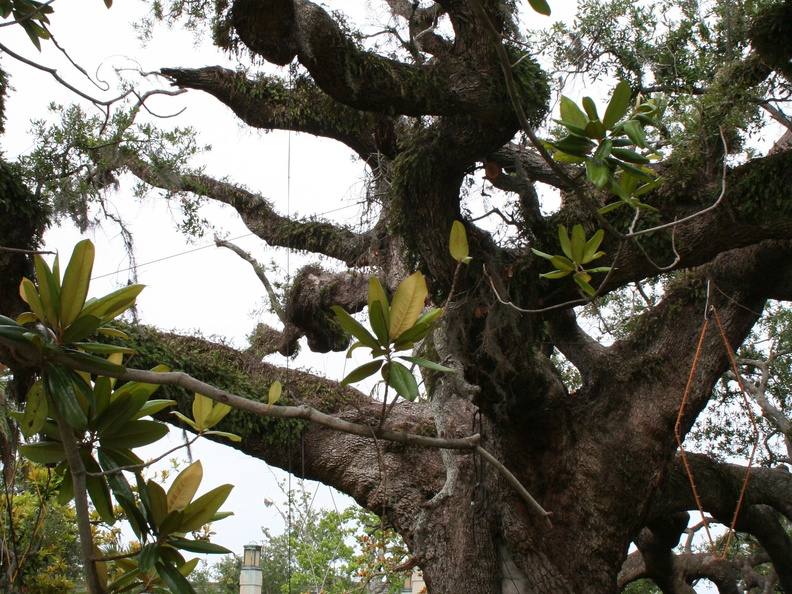 Darwin Was Right (727 külastust) Darwin Was Right