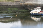 Harbor at Liscannor -- Harbor at Liscannor