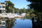 No Wind Today -- No Wind Today
