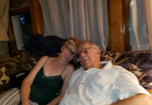 P B and J 19 (947 visits) P B and J 19