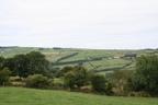 Patch Work Fields -- Patch Work Fields