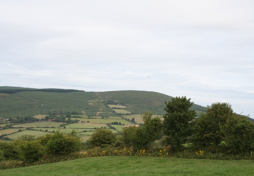 Patch Work Fields (1367 visits) Patch Work Fields Patch Work Fields
