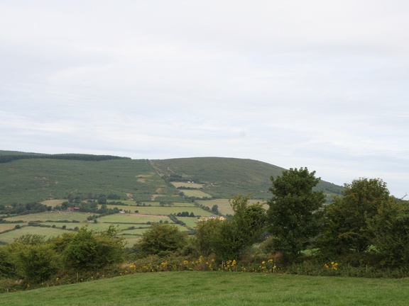 Patch Work Fields (1368 visits) Patch Work Fields Patch Work Fields