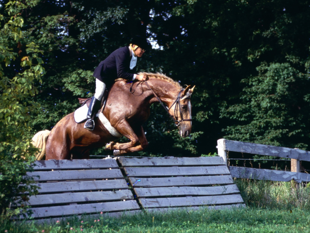 Bob taking a coop. ca 1985