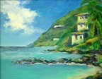 Tortola Beach -- We spent a week on this lovely island en-route to catch a cruise ship out of Puerto Rico