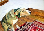 Caught in the Act- Guilty Elvis (NFS) -- Here is Elvis (he ain't nuttin but a hound dawg) enjoying Middle Eastern dining on our Persian rug. I like to do animal portraits and take commissions for them.