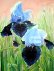 Blue Irises -- This and its companion piece, of white irises also shown here, were painted to demonstrate a modicum of sanity following many abstracts.