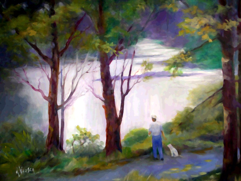 Walking the Dog (3719 gweladenn) A man walking his dog along a footpath besides a pond. Walking the Dog