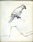 Sketch Book 01 007 -- Sketch_Book_1_007_zc
