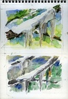 Sketch Book 04 007 -- Sketch Book 04 007