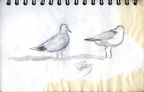 Sketch Book 06 008 -- Sketch Book 06 008