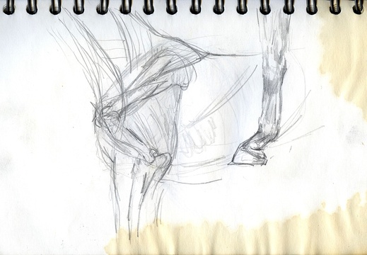 Sketch Book 06 010