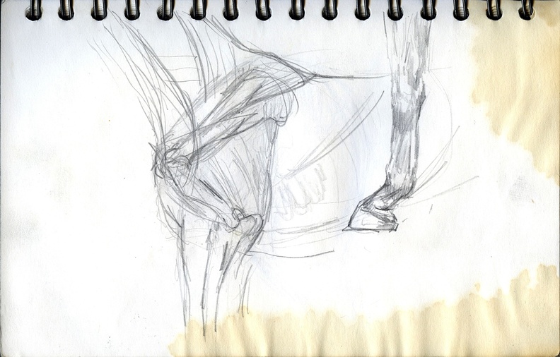 BRV_Sketch_Book_06_010_zc.jpg