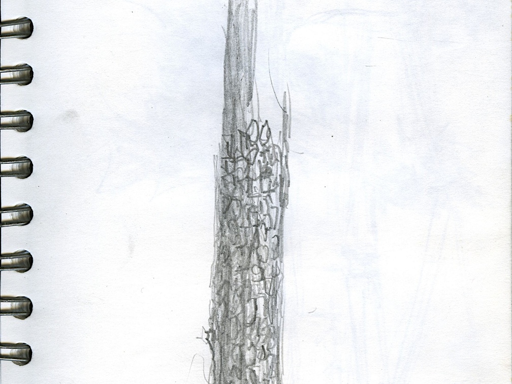 Sketch Book 06 050 (1451 visite) Sketch Book 06 050 Sketch Book 06 050