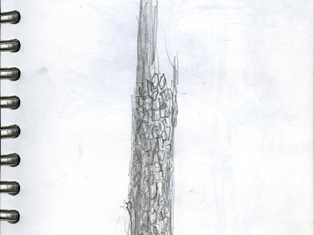 Sketch Book 06 050