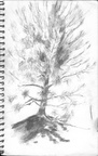 Sketch Book 08 016 -- Sketch Book 08 016