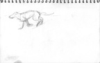 Sketch Book 08 018 -- Sketch Book 08 018
