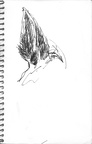 Sketch Book 08 031 -- Sketch Book 08 031