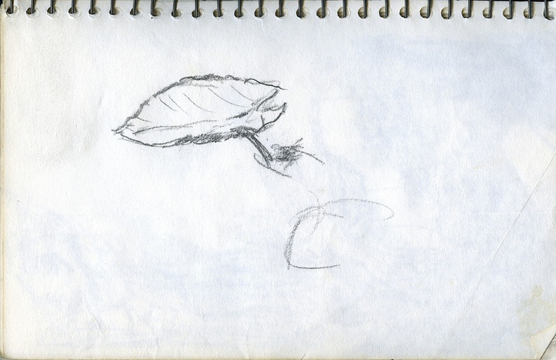 BRV_Sketch_Book_08_054_zc.jpg