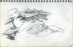 Sketch Book 08 055 -- Sketch Book 08 055