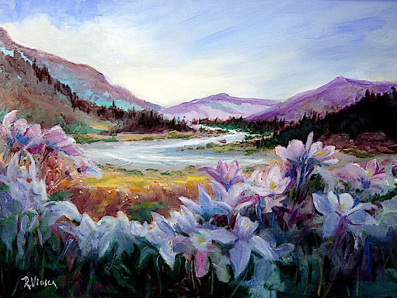 Colorado-Stream from the Mountains (SOLD)