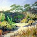 Florida-Palmettos and Sand