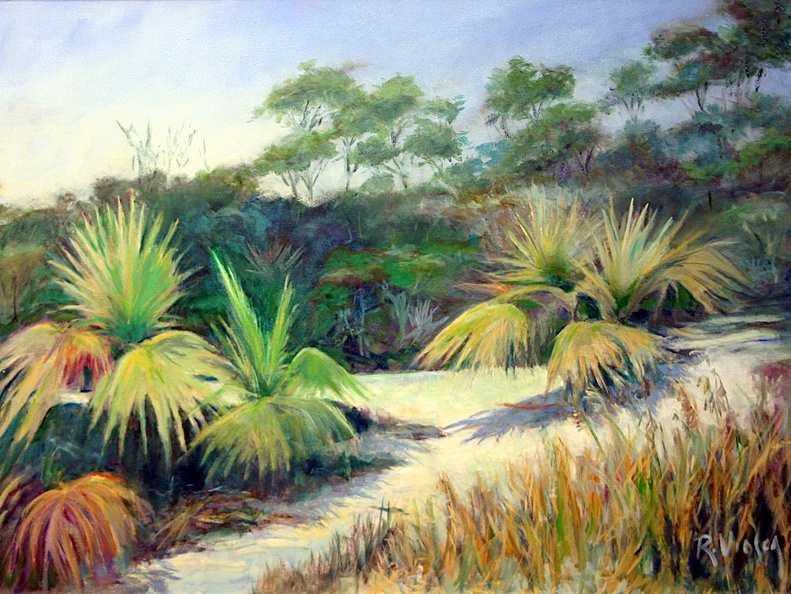 Florida-Palmettos and Sand