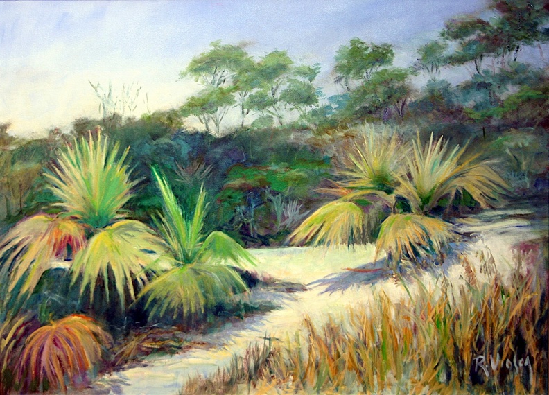 Florida_Palmettos_and_Sand.jpg