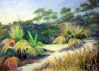 Florida-Palmettos and Sand -- Painted plein aire at Juno Beach Florida.