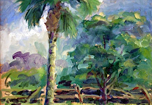 Palm Trees in Florida (5348 visits) At a paddock at an equestrian center in Florida. Palm Trees in Florida