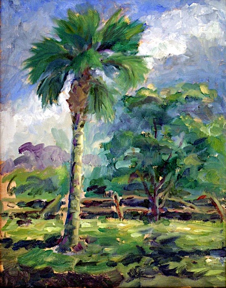 Palm_Tree.jpg