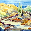 Aruba Cactus Garden (5507 visits) Aruba Cactus Garden