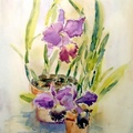 Blue Orchids (SOLD)