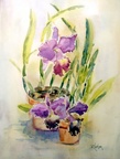 Blue Orchids (SOLD) -- Painted at an orchid nursery in West Palm Beach.